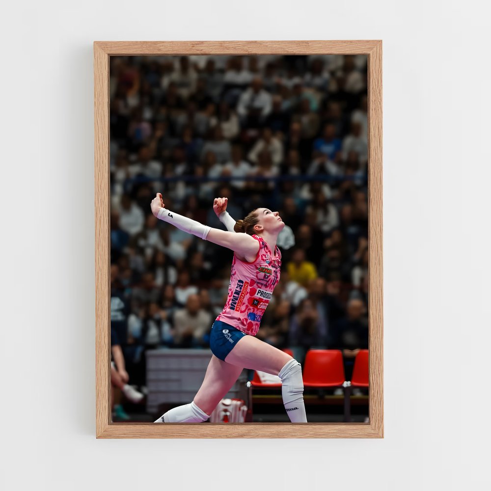 Poster Isabelle de haak – affiche Volleyball (vue 4)